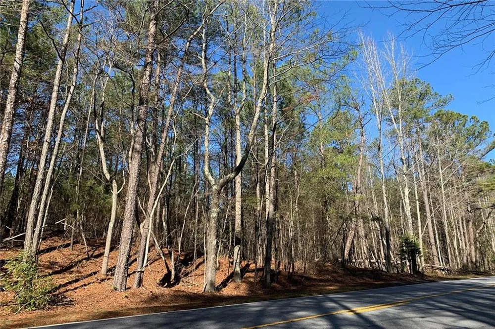 0 Campbellton Redwine Road Chattahoochee Hills, GA 30268