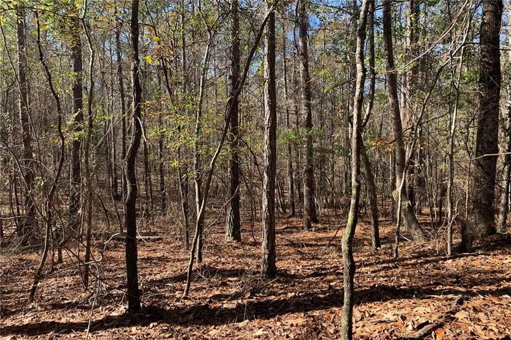 0 Campbellton Redwine Road Chattahoochee Hills, GA 30268