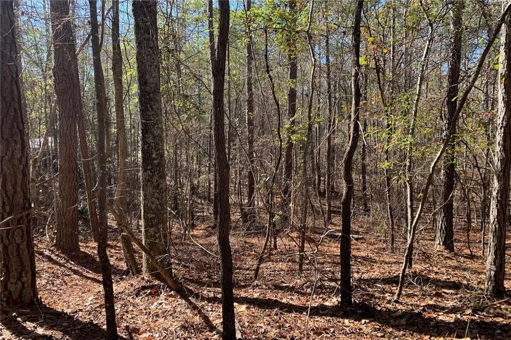 0 Campbellton Redwine Road Chattahoochee Hills, GA 30268