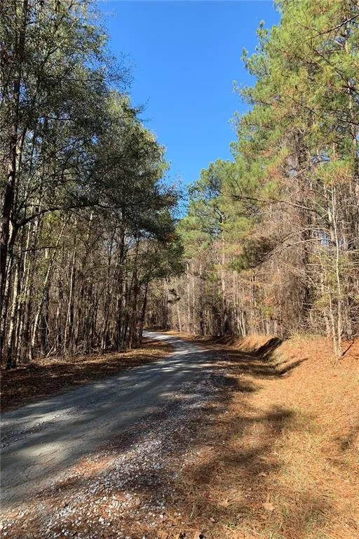 0 Campbellton Redwine Road Chattahoochee Hills, GA 30268