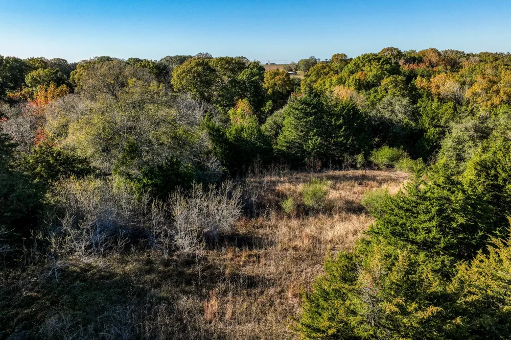 6717 Prihoda Road New Ulm, TX 78950
