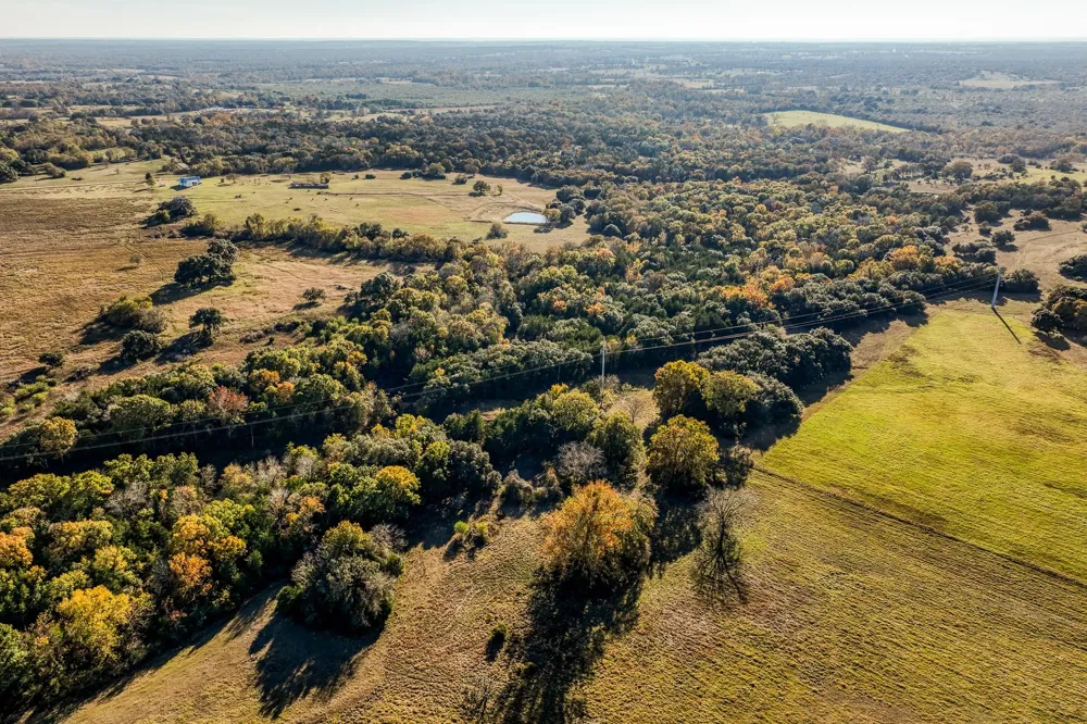 6717 Prihoda Road New Ulm, TX 78950