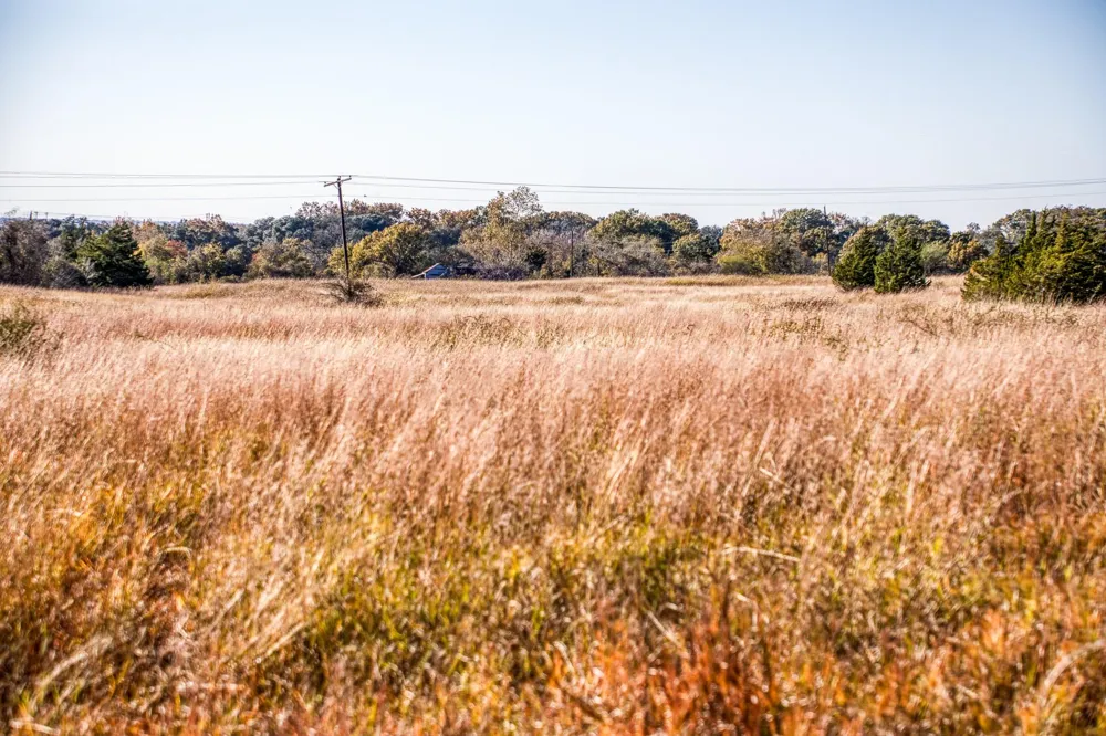 6717 Prihoda Road New Ulm, TX 78950