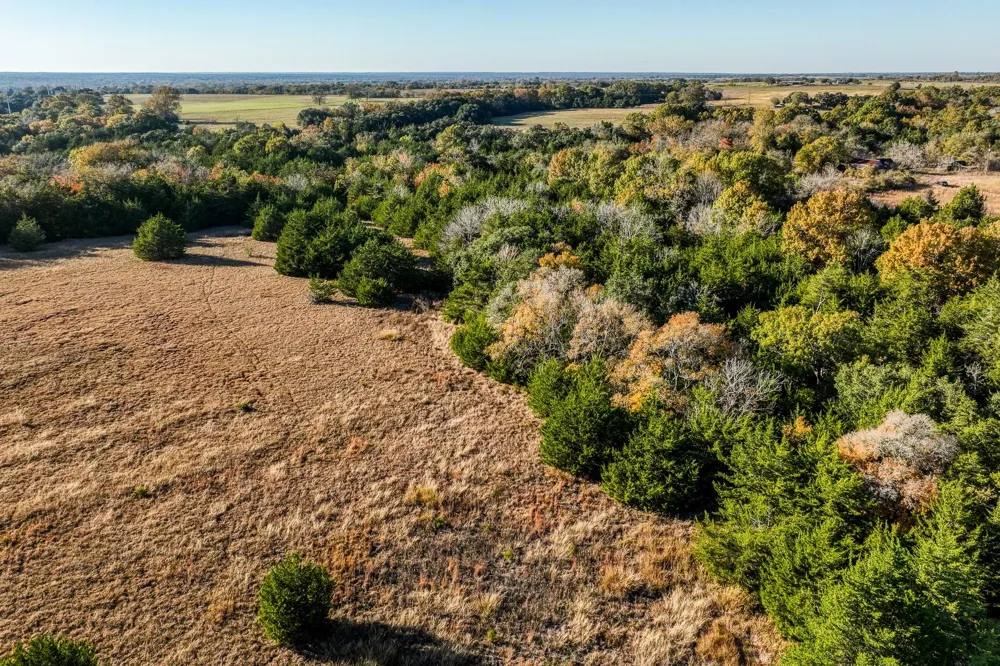 6717 Prihoda Road New Ulm, TX 78950