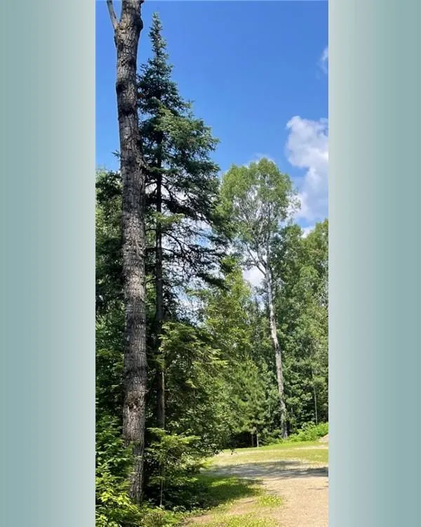 23XX Low Creek Road Ely, MN 55731