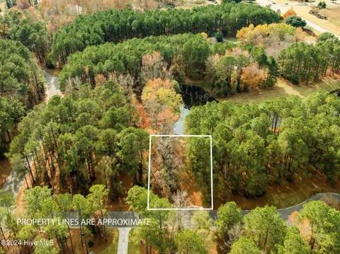 111 Loblolly Court