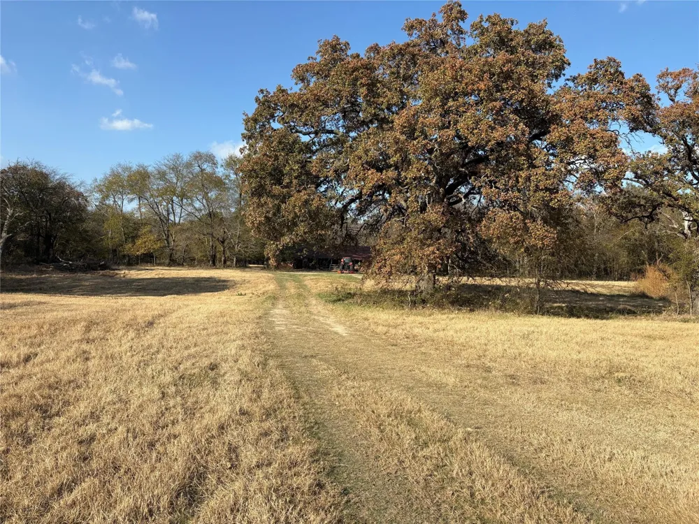1207 State HWY 24 Campbell, TX 75422