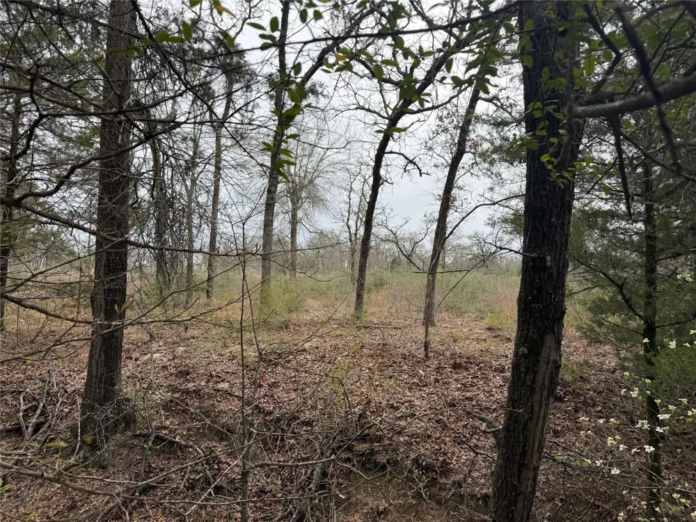 844 County Road 374 Milano, TX 76556