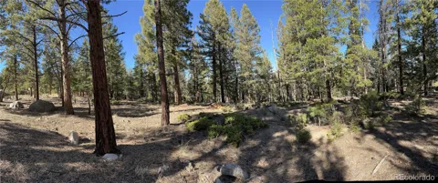 Aspen Turn