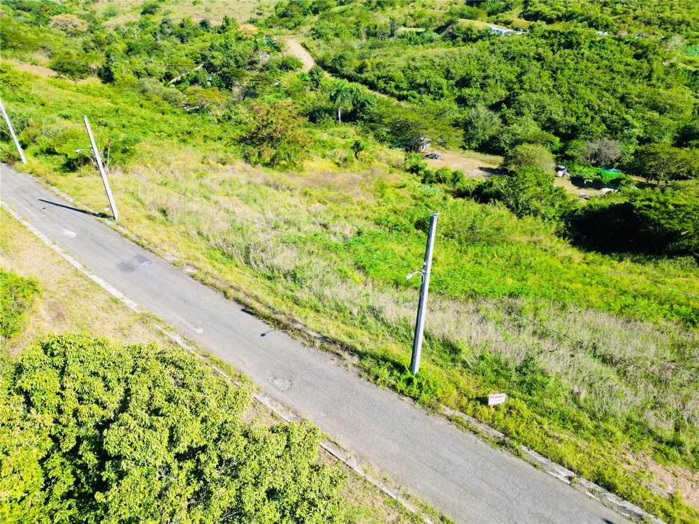 URB.VISTAS DEL RODADERO Yauco, PR 00698