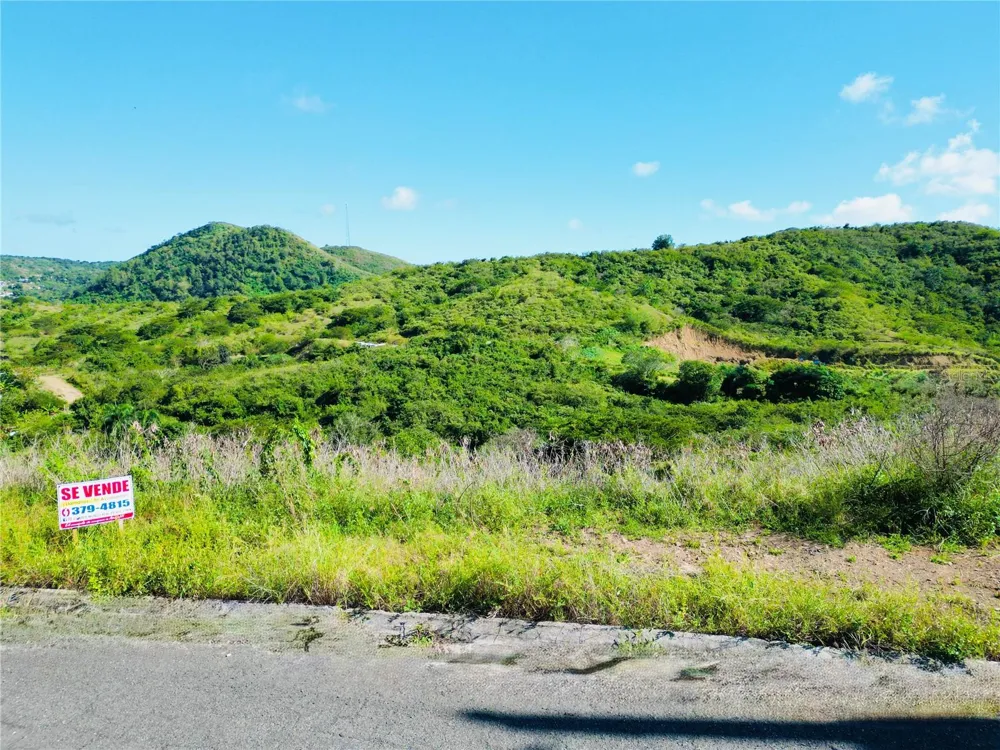 URB.VISTAS DEL RODADERO Yauco, PR 00698