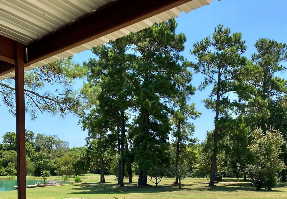 3935 Spring Branch Road Montgomery, TX 77316