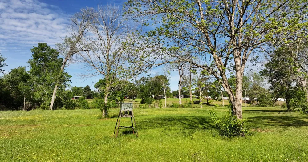 3935 Spring Branch Road Montgomery, TX 77316