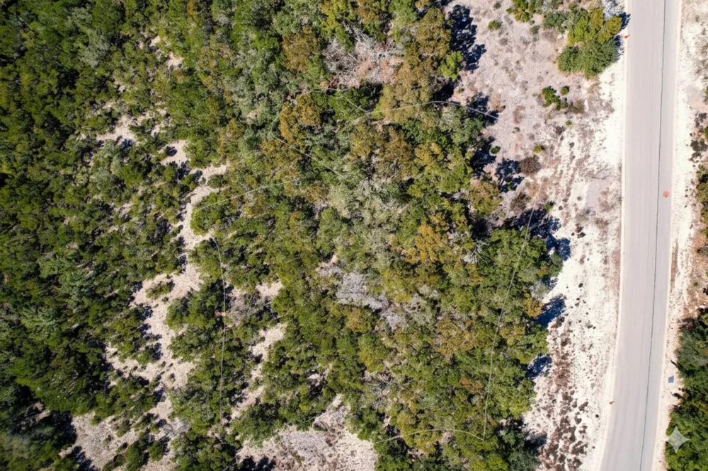 Private 1748 Road Mico, TX 78056
