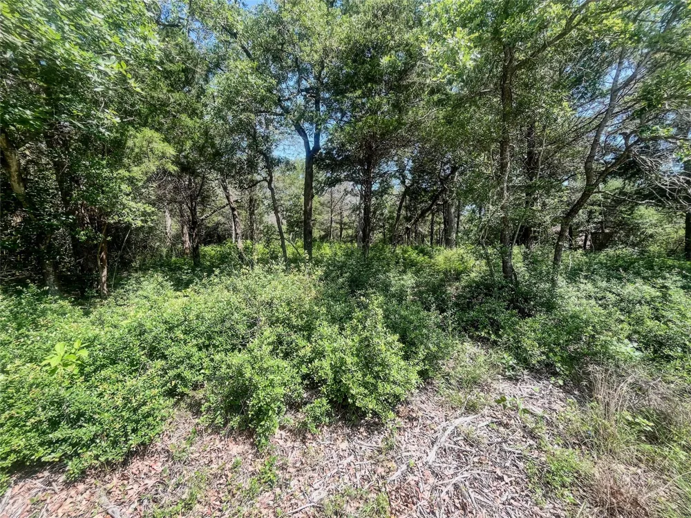 Phillips Lexington, TX 78947