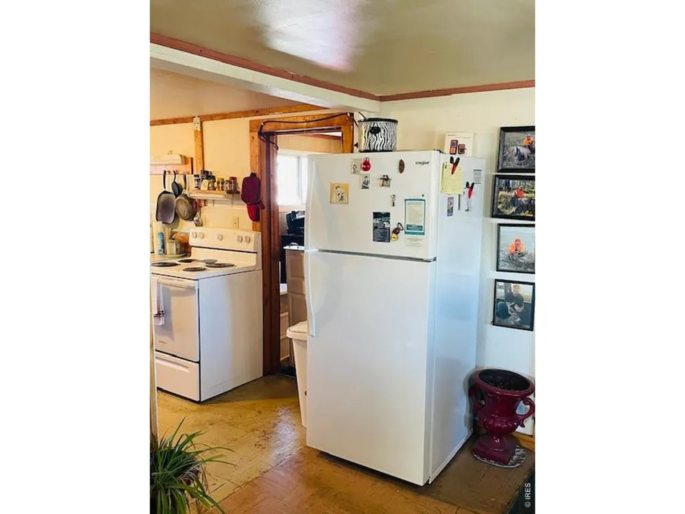 248 Lafever Street Walden, CO 80480