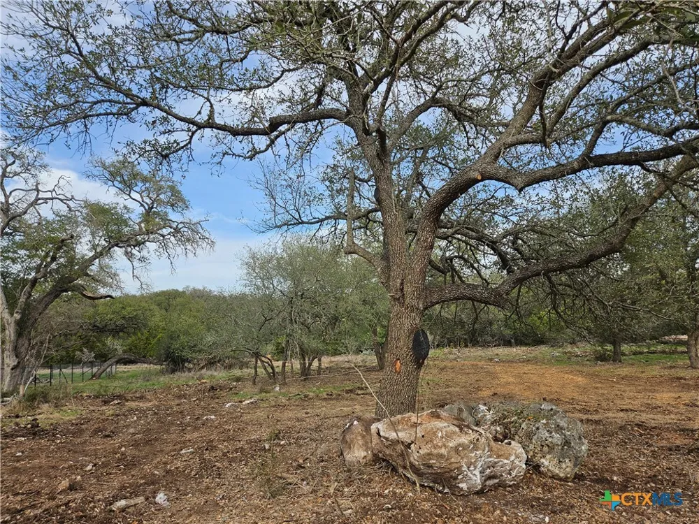 206 Falling Hills New Braunfels, TX 78132