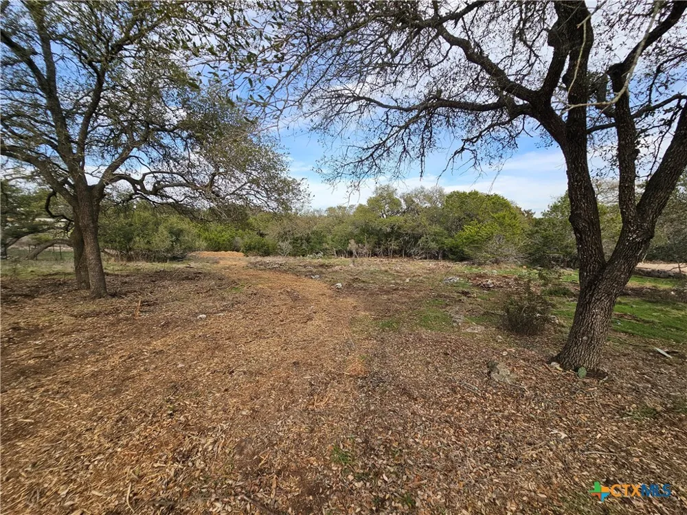 206 Falling Hills New Braunfels, TX 78132