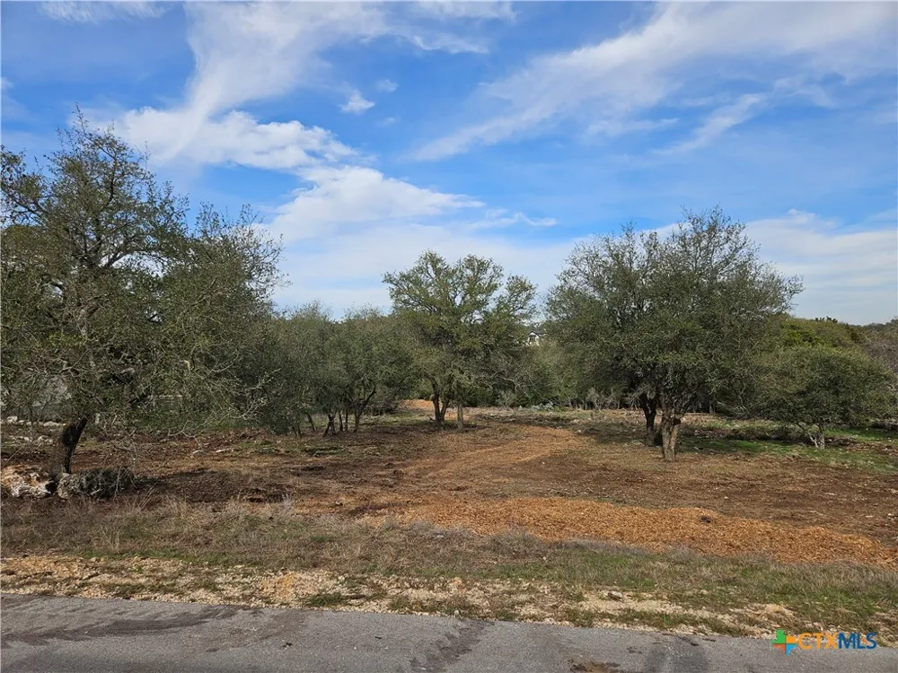 206 Falling Hills New Braunfels, TX 78132
