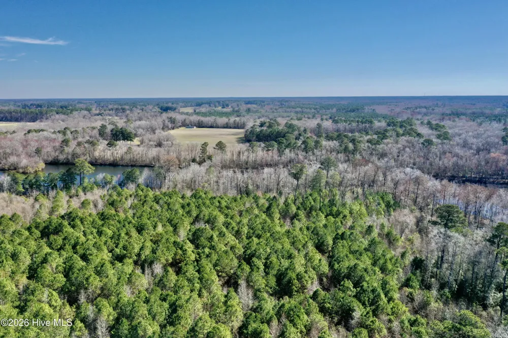 0 Near 2034 Haynes Len Highway Cerro Gordo, NC 28430