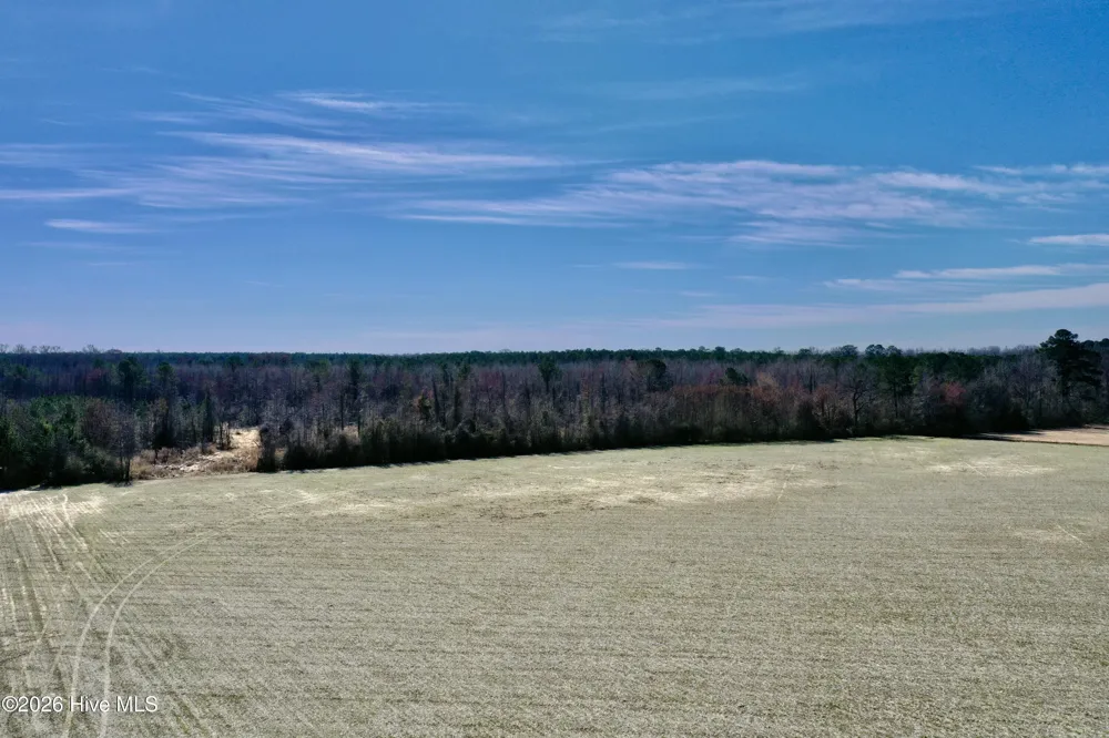 0 Near 2034 Haynes Len Highway Cerro Gordo, NC 28430