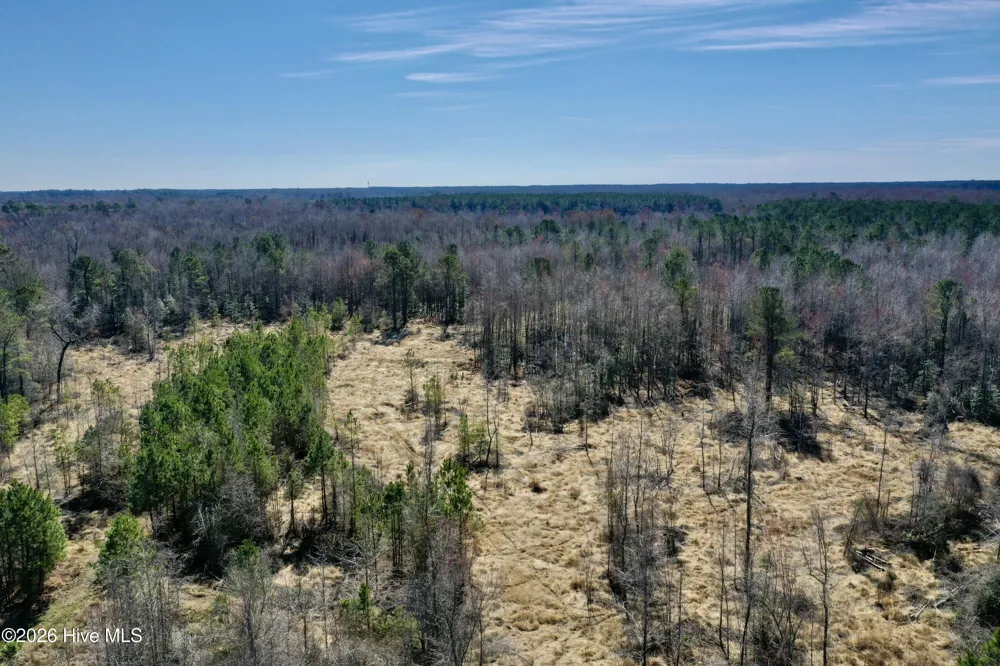 0 Near 2034 Haynes Len Highway Cerro Gordo, NC 28430