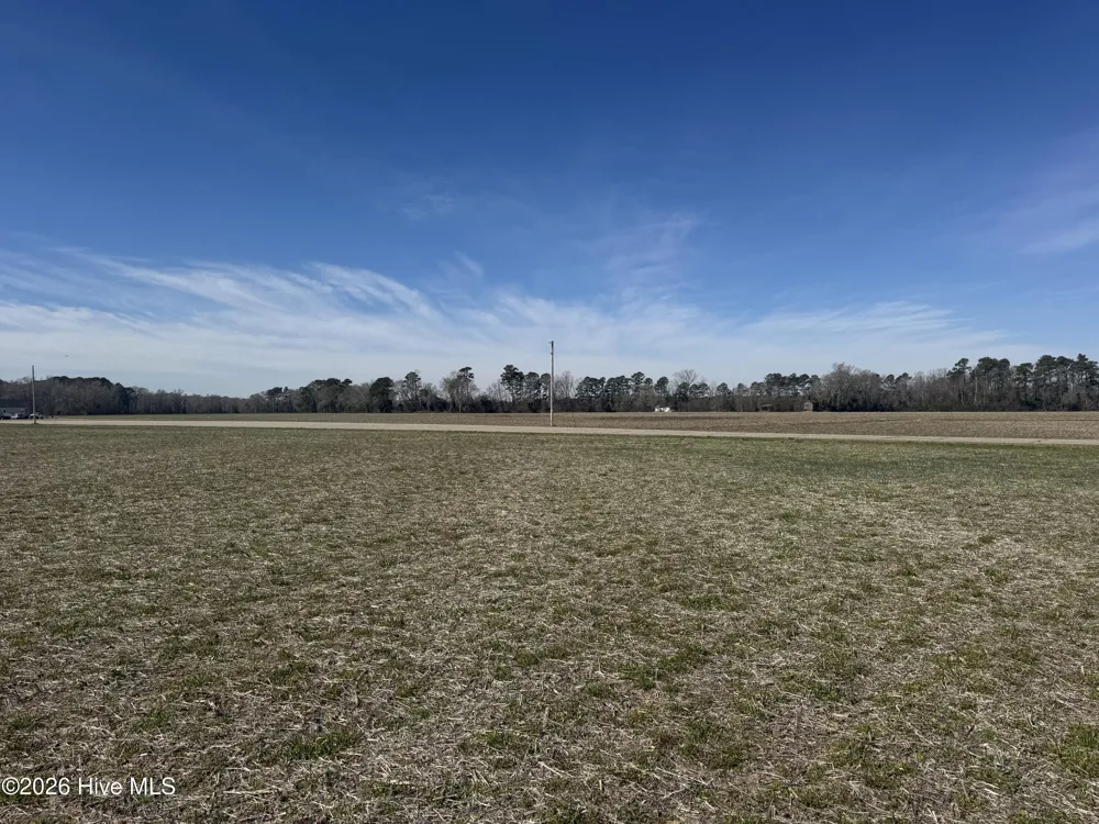 0 Near 2034 Haynes Len Highway Cerro Gordo, NC 28430