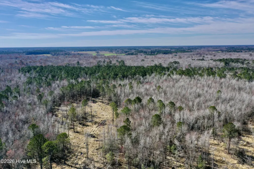 0 Near 2034 Haynes Len Highway Cerro Gordo, NC 28430