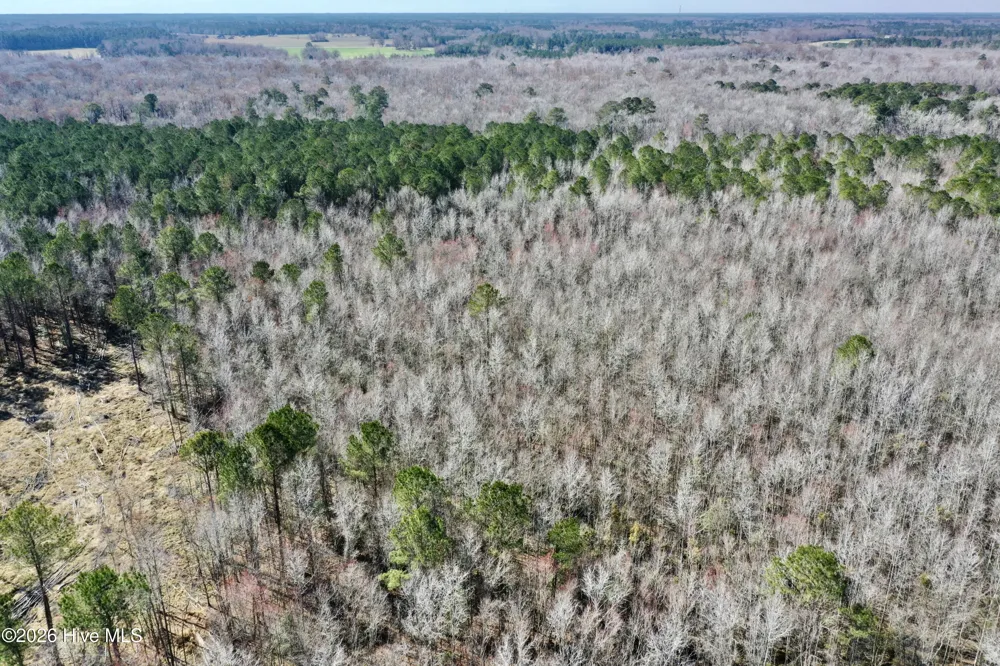 0 Near 2034 Haynes Len Highway Cerro Gordo, NC 28430
