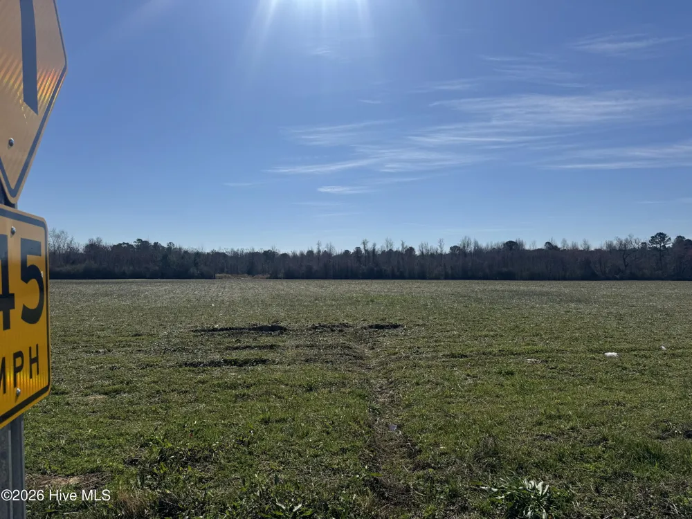 0 Near 2034 Haynes Len Highway Cerro Gordo, NC 28430