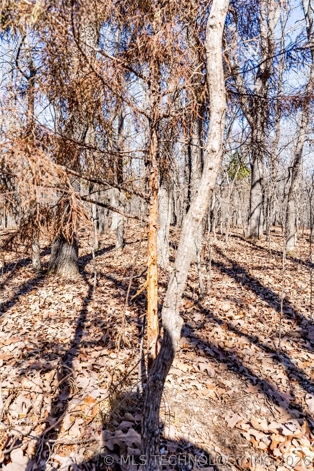 3700 ROAD Boley, OK 74829
