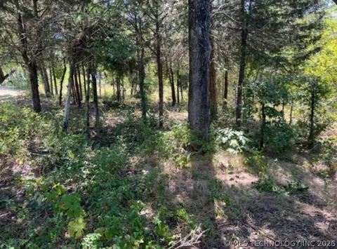 Cherokee Trail