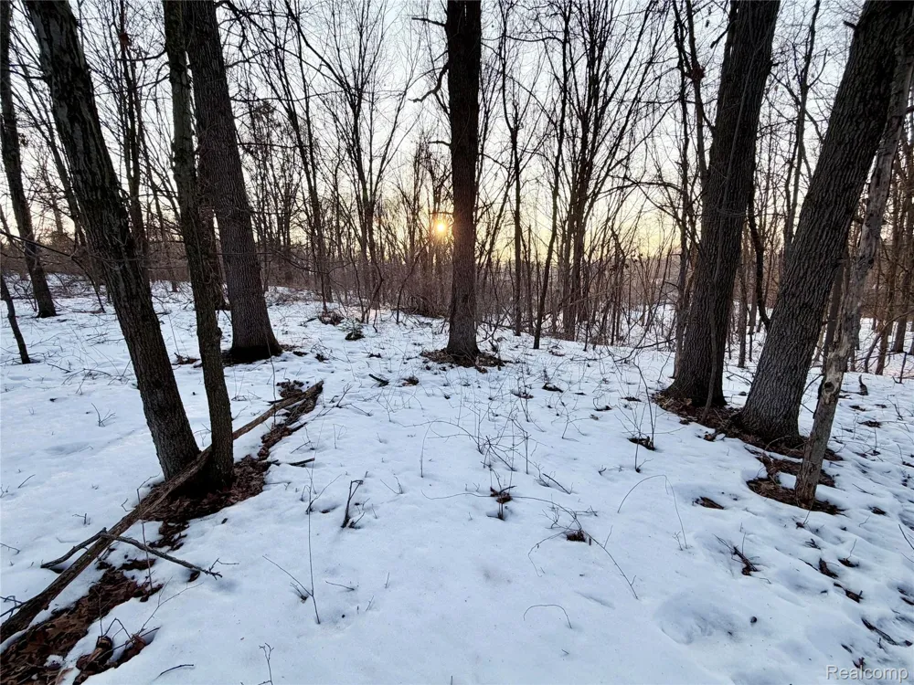 Pine Knob Road Independence Charter Township, MI 48348
