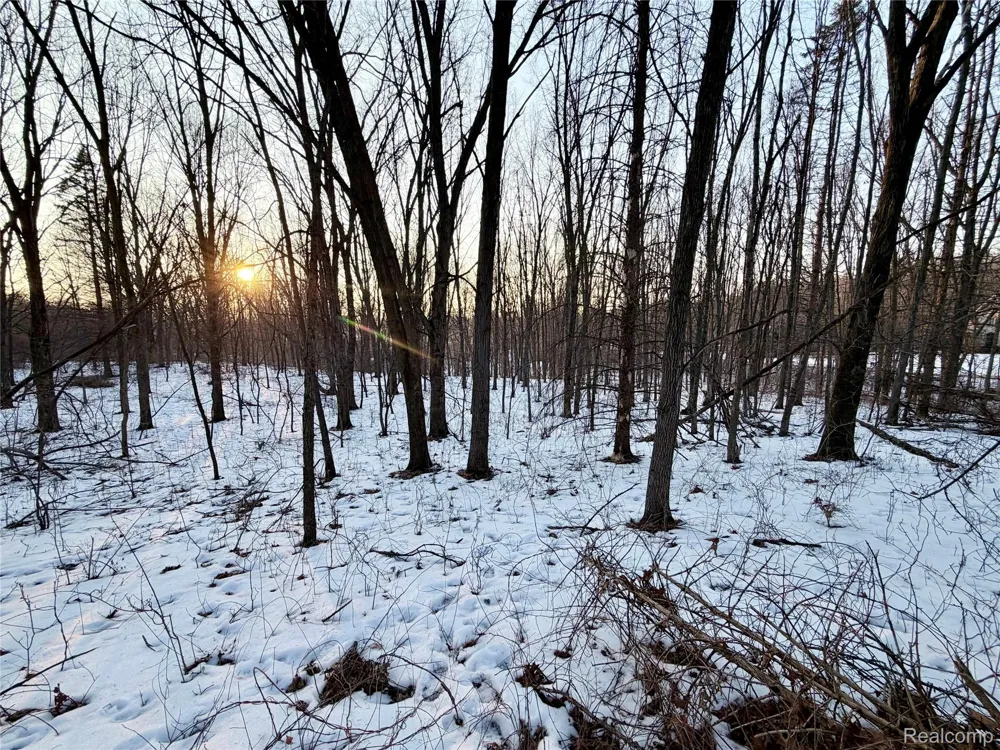 Pine Knob Road Independence Charter Township, MI 48348
