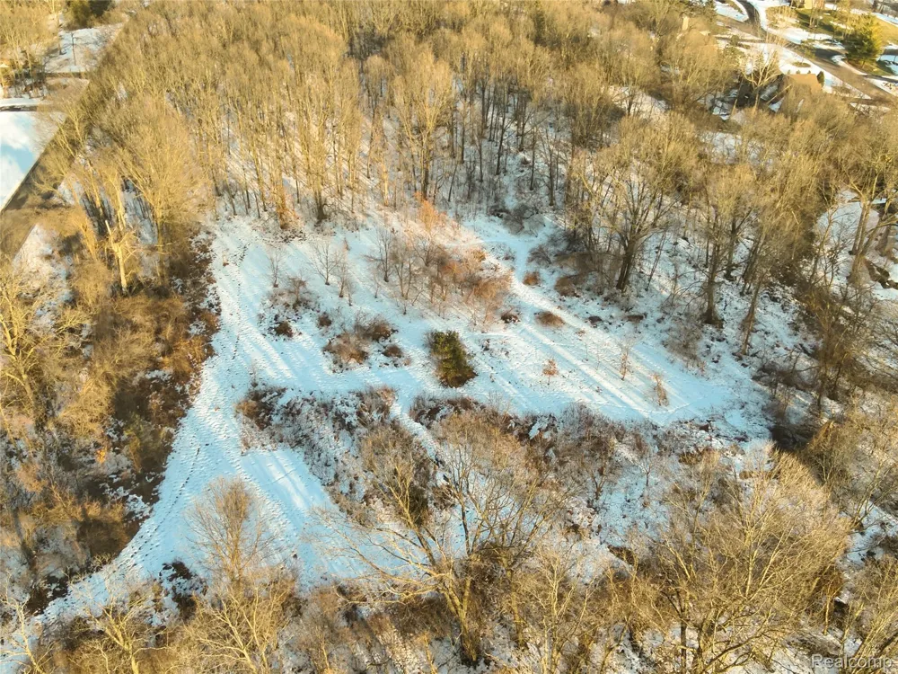Pine Knob Road Independence Charter Township, MI 48348