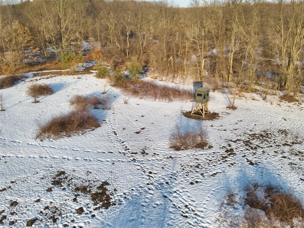 Pine Knob Road Independence Charter Township, MI 48348