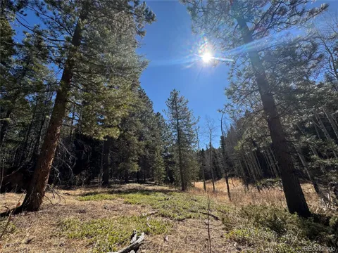 Lot 14X Wallace Avenue