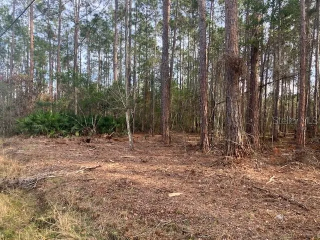 4515 MAHOGANY BOULEVARD Bunnell, FL 32110
