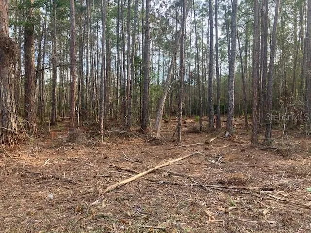 4515 MAHOGANY BOULEVARD Bunnell, FL 32110