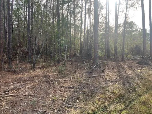 4515 MAHOGANY BOULEVARD Bunnell, FL 32110