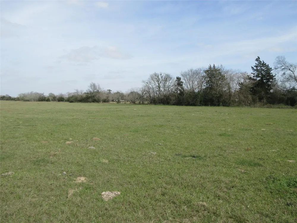 37280 Clapp Road Brookshire, TX 77423