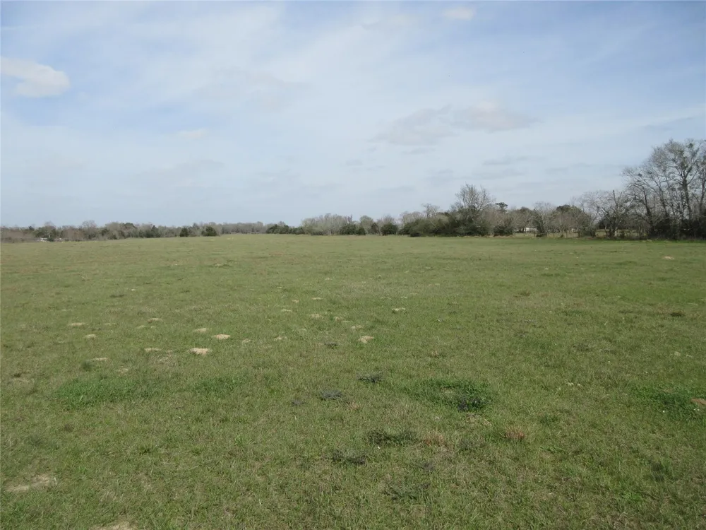 37280 Clapp Road Brookshire, TX 77423