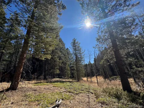 Lot 14X Wallace Avenue