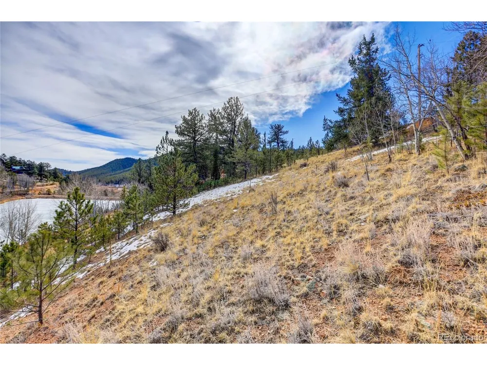 147 Ward Street Bailey, CO 80421