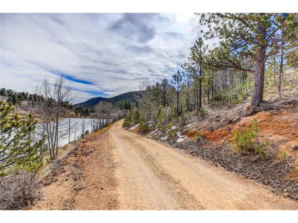147 Ward Street Bailey, CO 80421