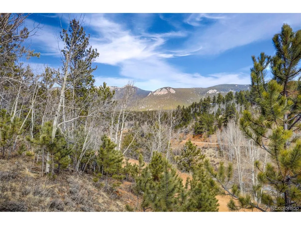 147 Ward Street Bailey, CO 80421