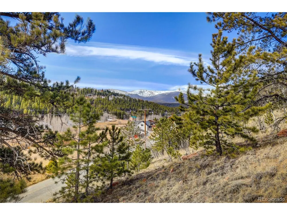 147 Ward Street Bailey, CO 80421