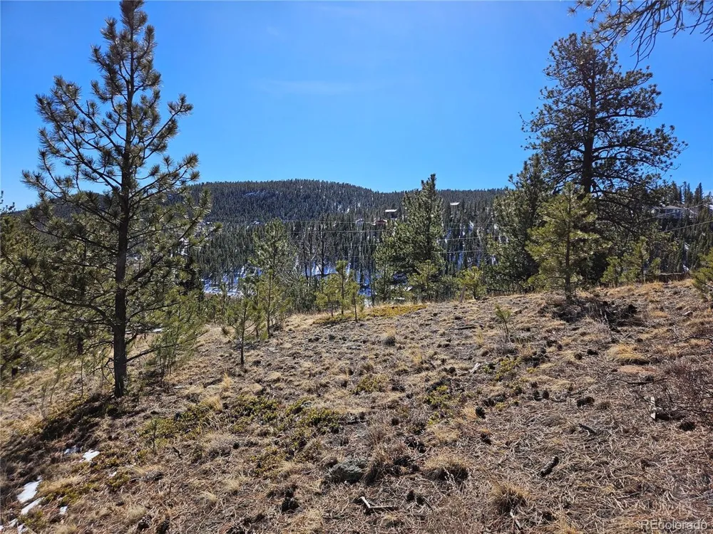 147 Ward Street Bailey, CO 80421