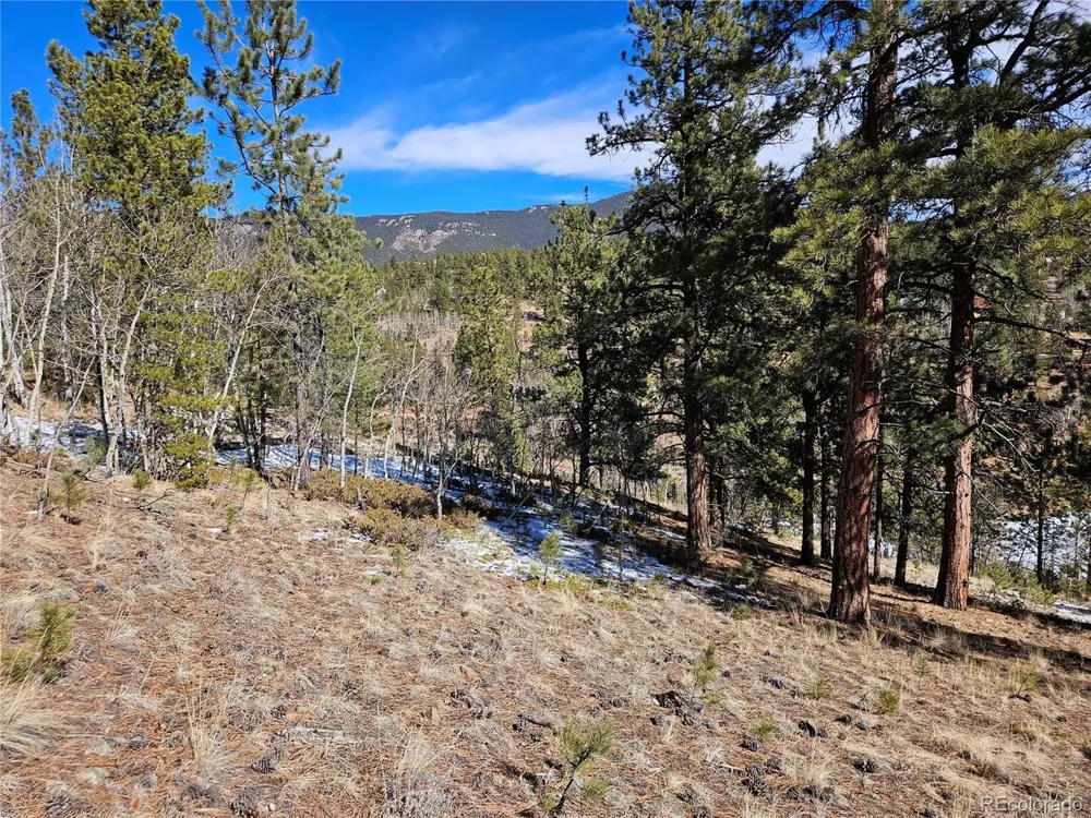 147 Ward Street Bailey, CO 80421