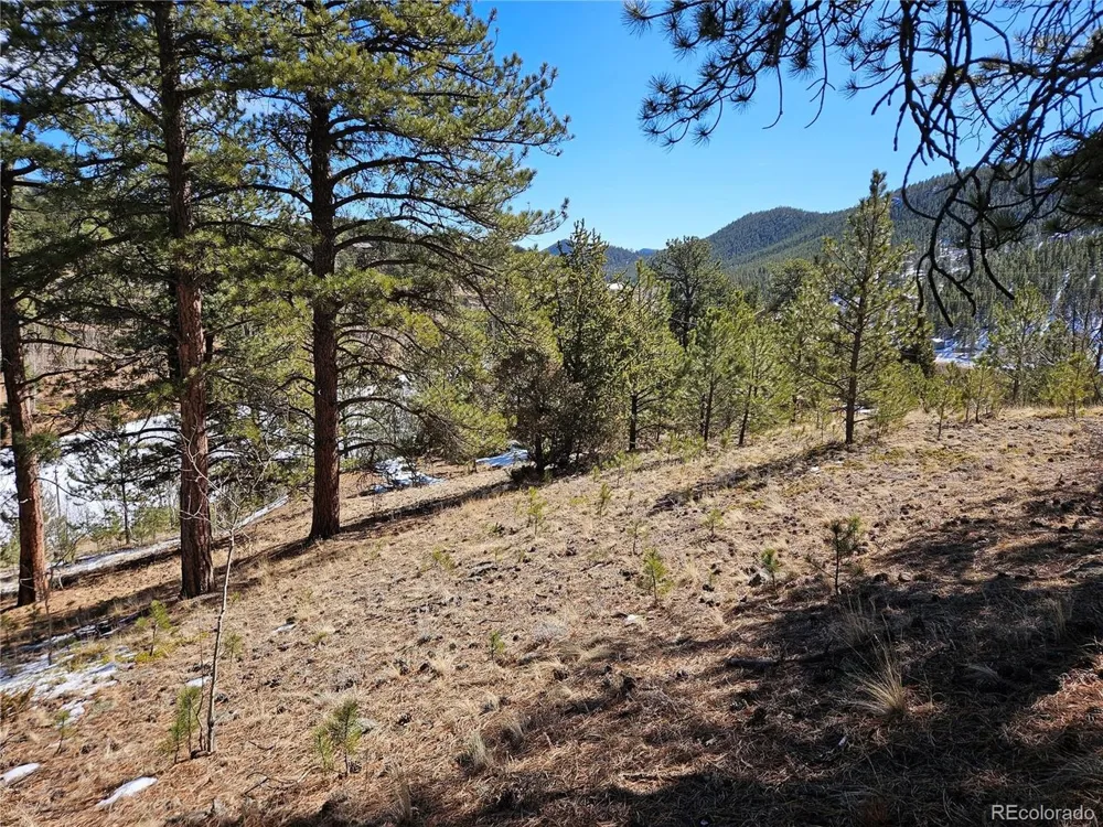 147 Ward Street Bailey, CO 80421